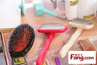 尊寵國(guó)際 打造專(zhuān)業(yè)寵物美容日用品，守護(hù)愛(ài)犬的日常精致