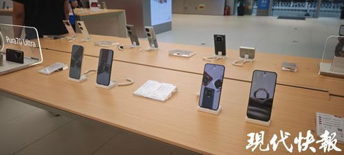 前5月南京經濟穩健增長，‘以舊換新’政策顯效，汽車與家電零售額大幅攀升